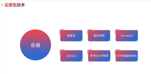 云原生模式 设计拥抱变化的软件（一）——软件设计与开发